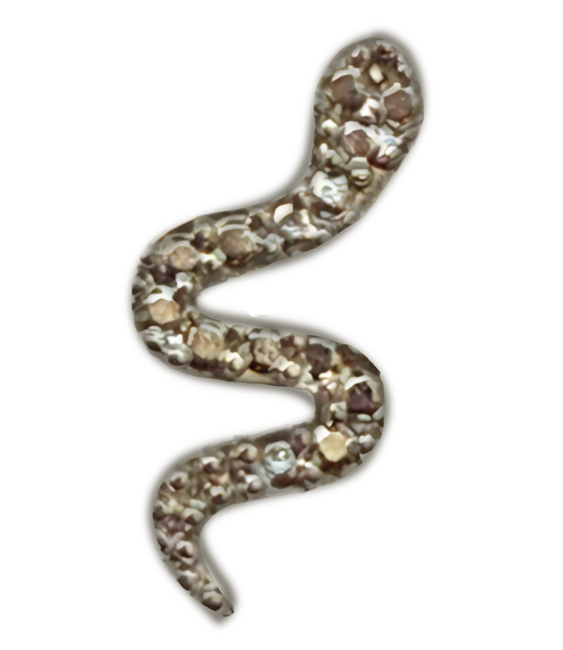 Extra Snake inner charm