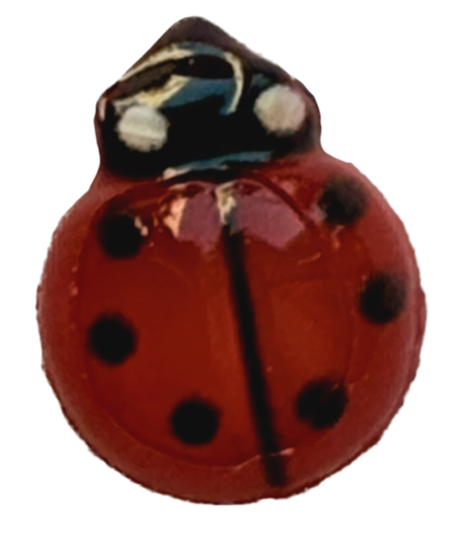 Extra Lady bug frame charm
