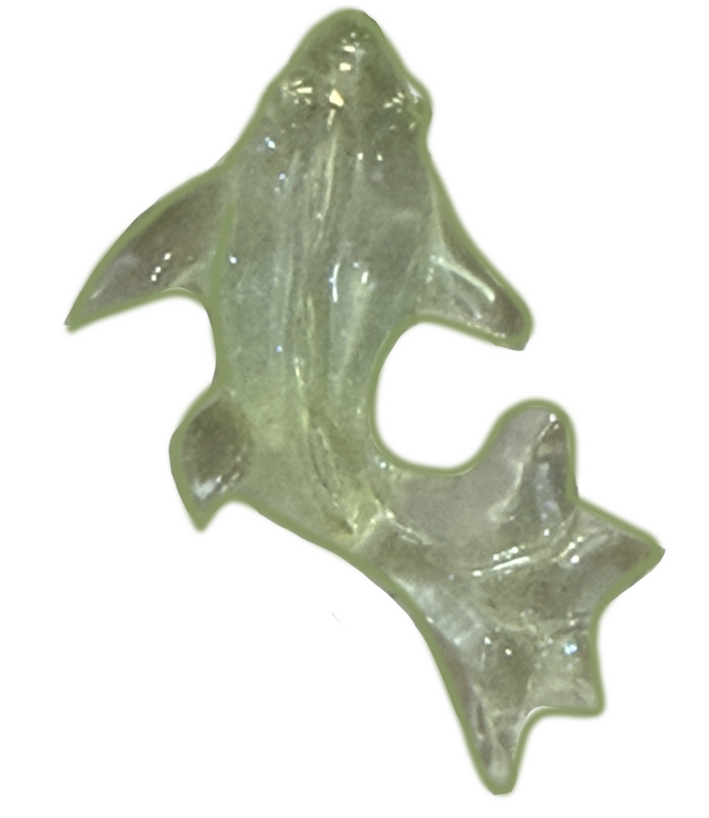 Green clear fish frame charm