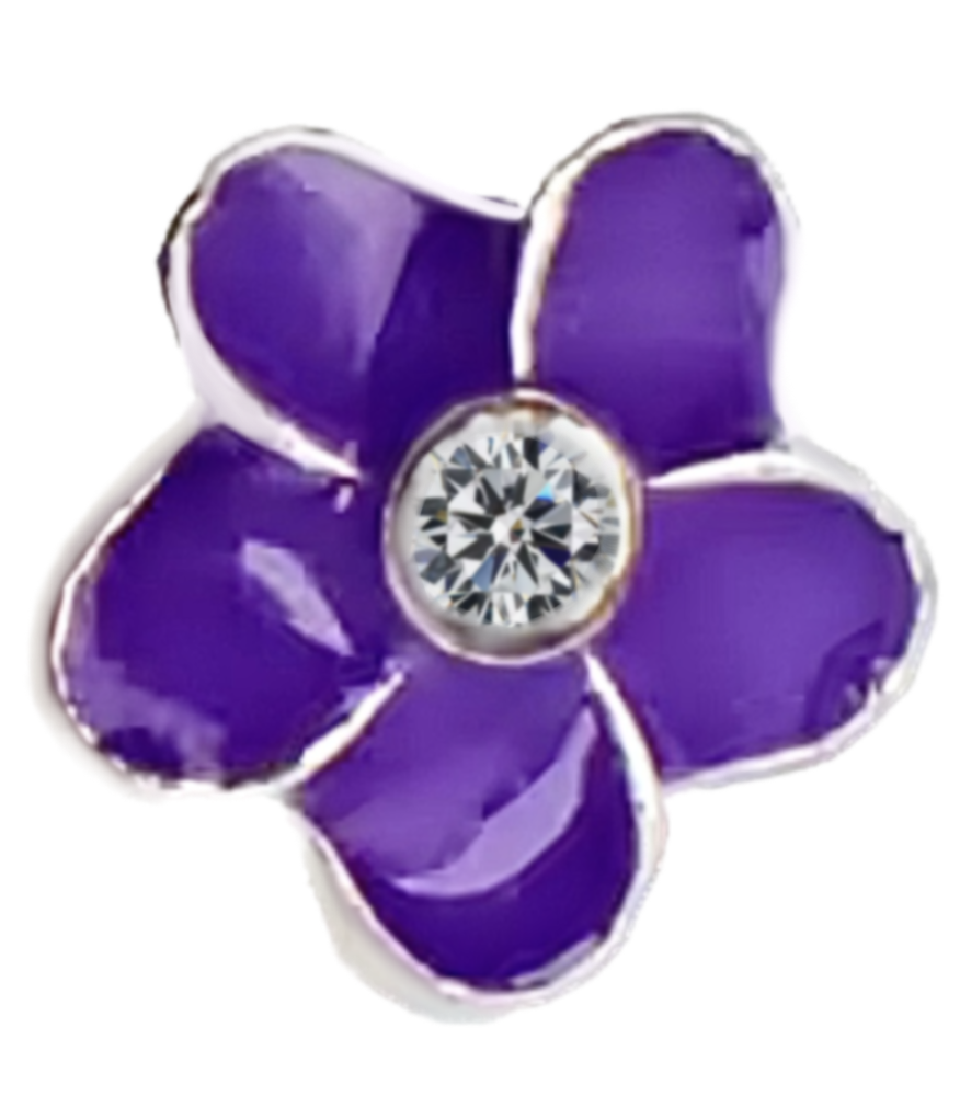 Extra Purple Flower Frame Charm