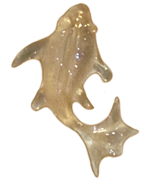 Extra Yellow clear fish inner charm