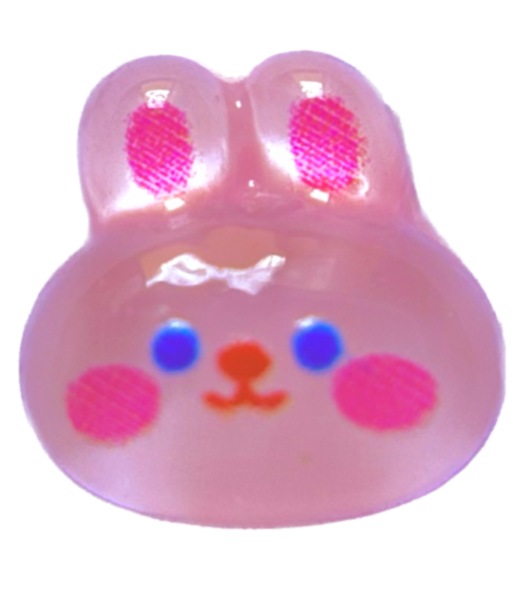 Pink Bunny Frame Charm