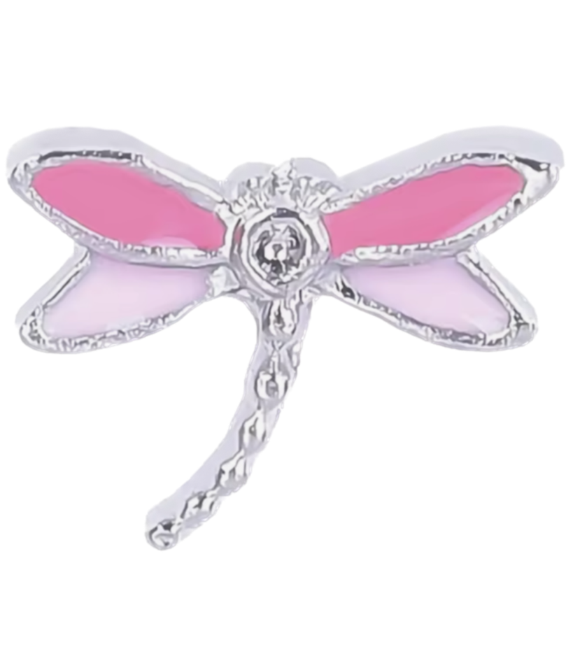 Extra Dragonfly inner charm