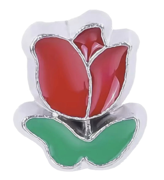 Extra Rose Frame Charm