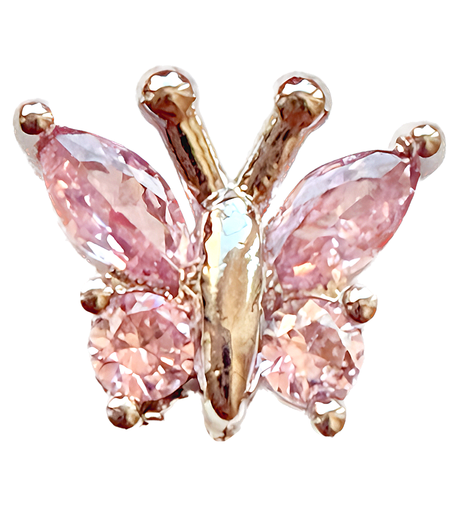 Extra Pink crystal butterfly frame charm