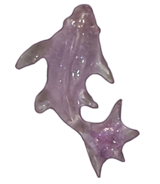 Purple clear fish frame charm