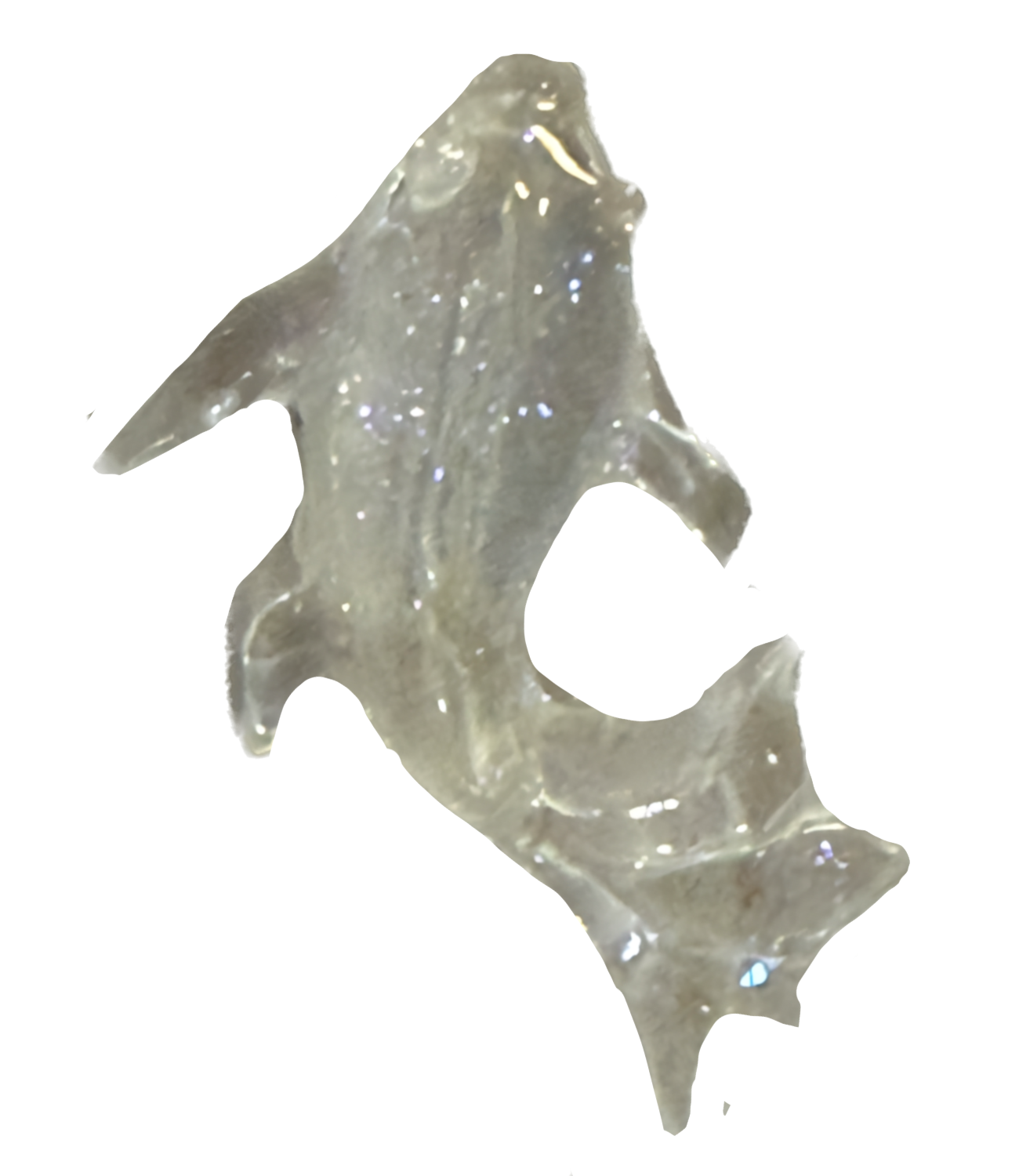 Extra Clear fish frame charm