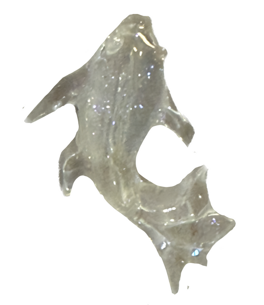 Extra Clear fish frame charm