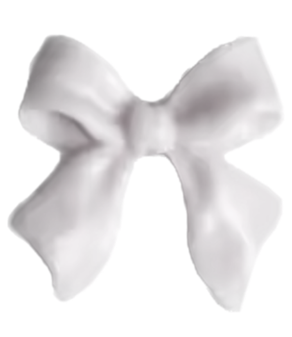 Tiny white bow inner charm