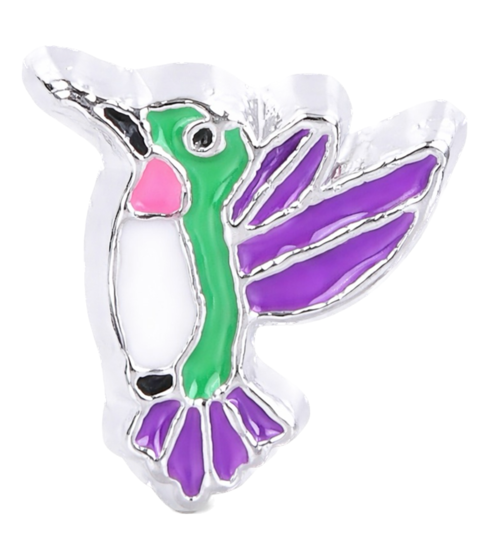 Humming bird Frame Charm
