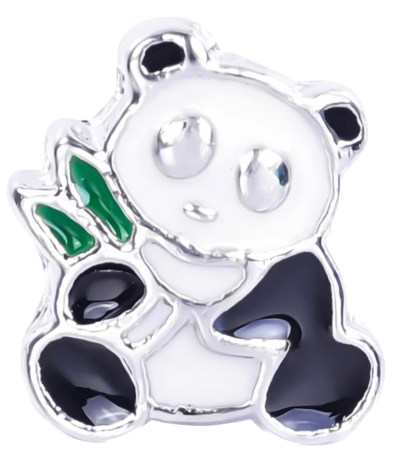 Panda Frame Charm