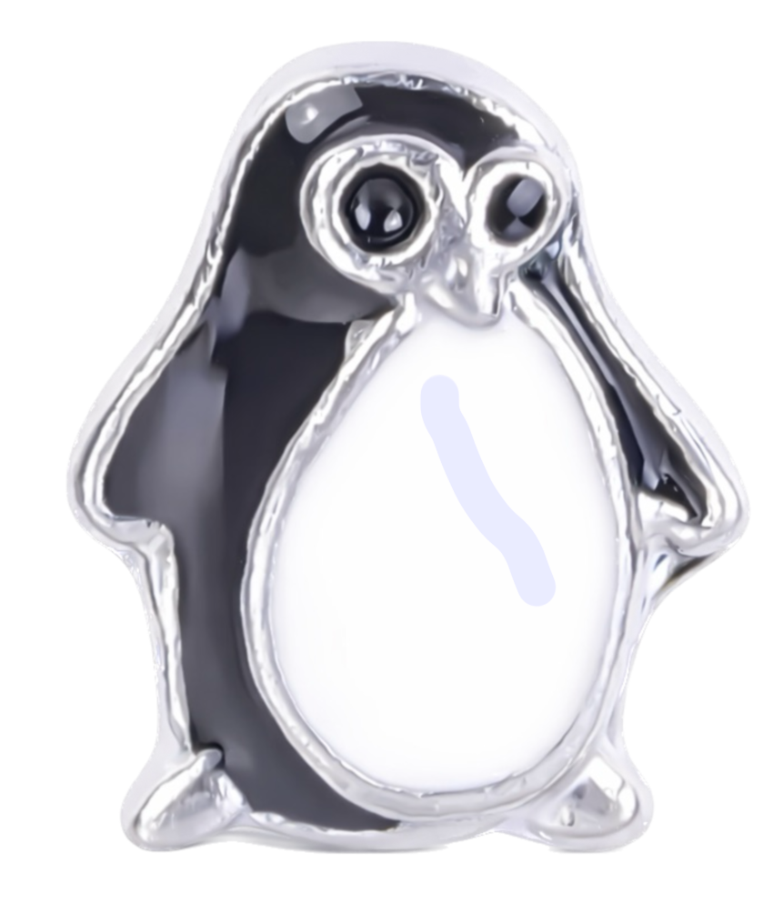 Penguin Frame Charm
