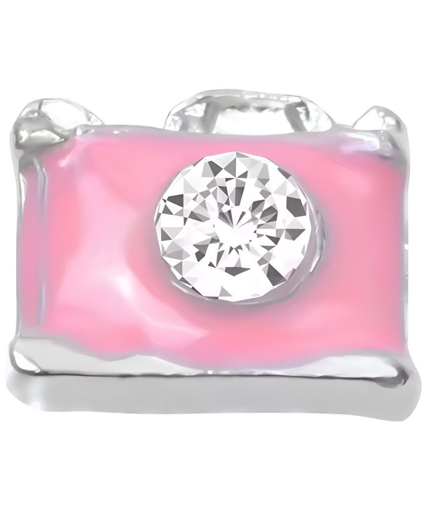 Pink camera Frame Charm
