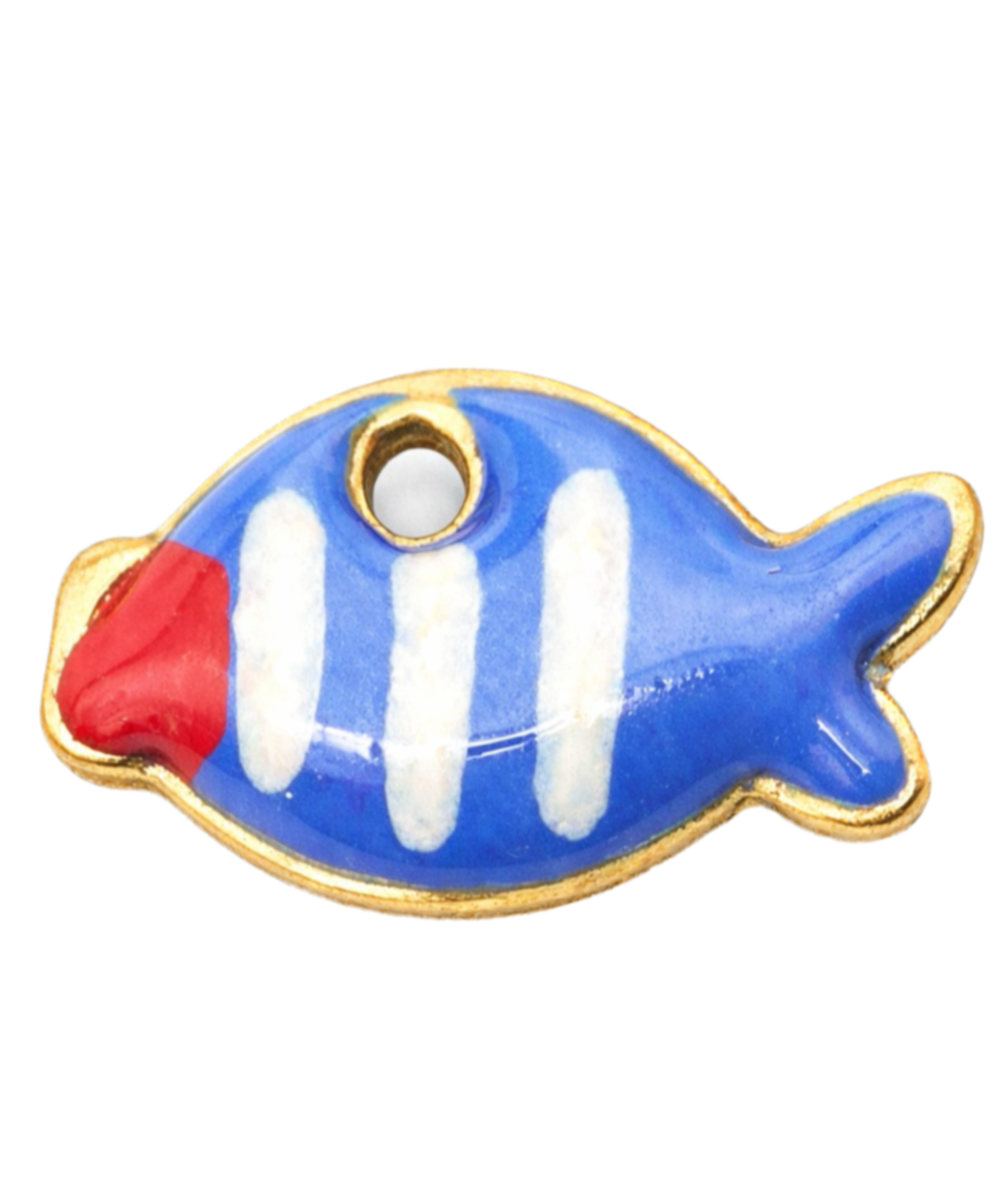 Blue fish Frame Charm
