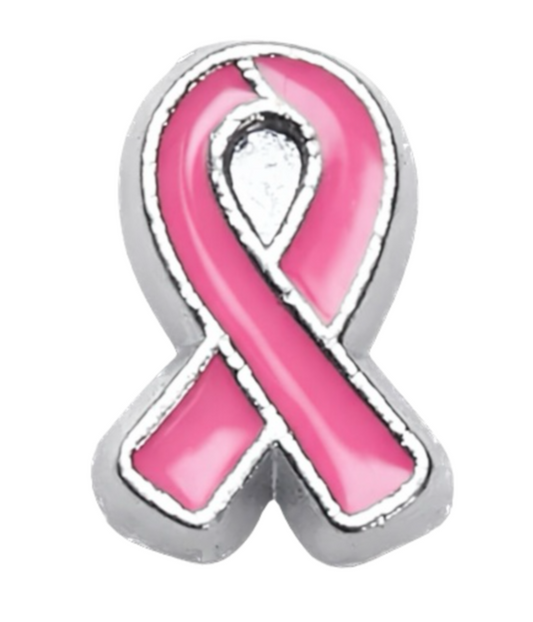 Breast Cancer Frame Charm