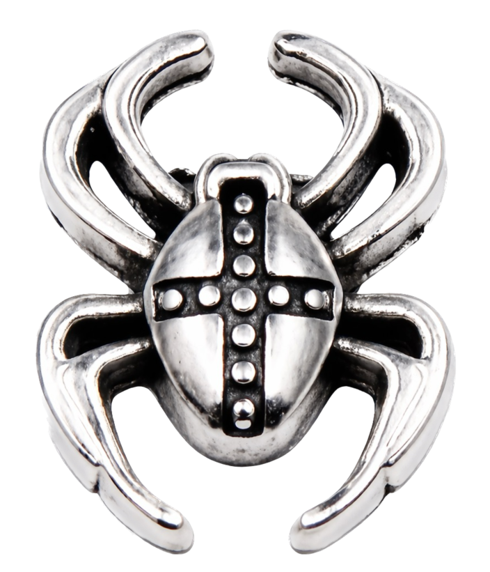Spider Frame Charm