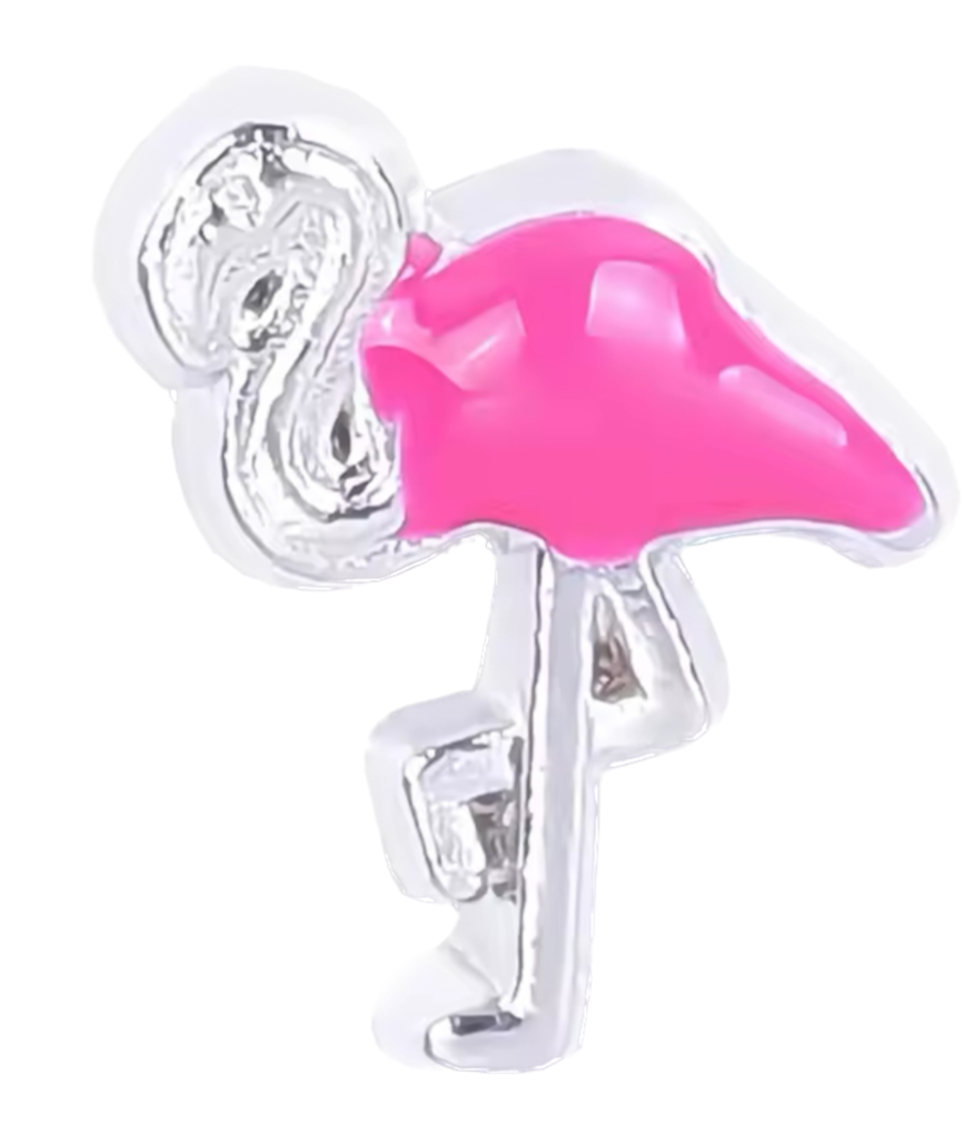 Flamingo Frame Charm